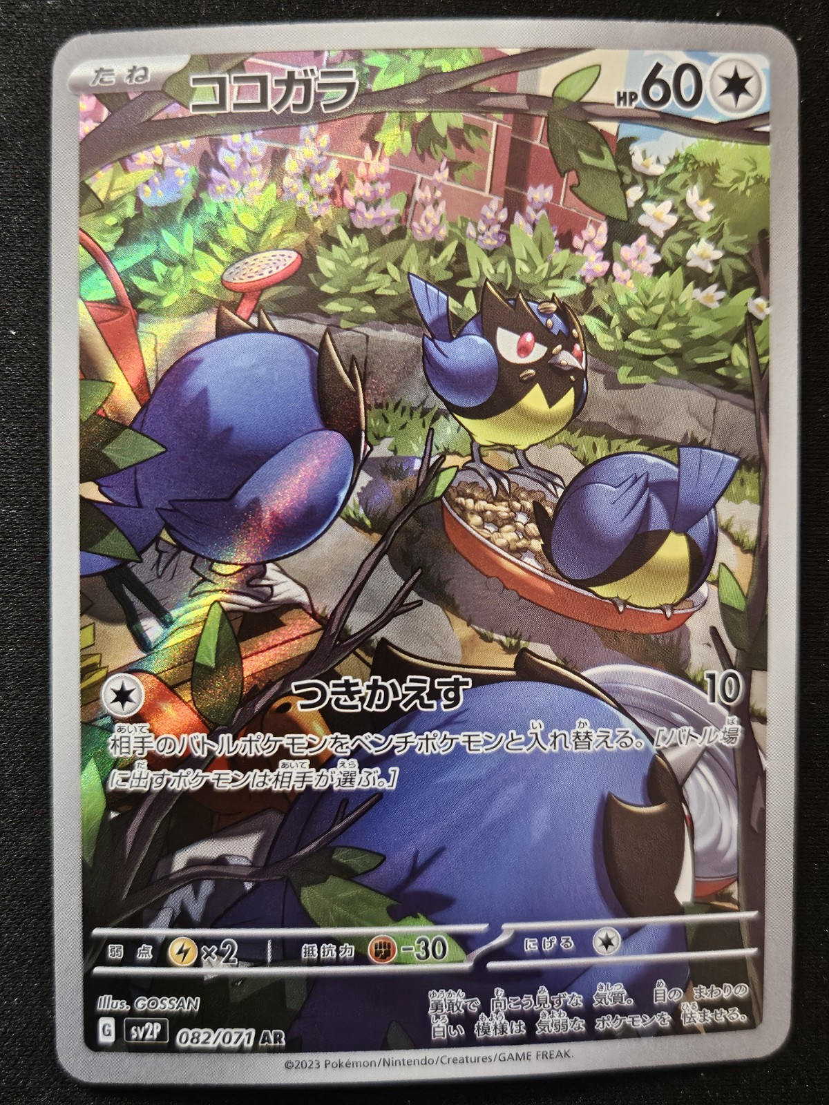 Japanese Rookidee 082/071 sv2P Snow Hazard Full Art Rare Holo Pokémon 2023 NM