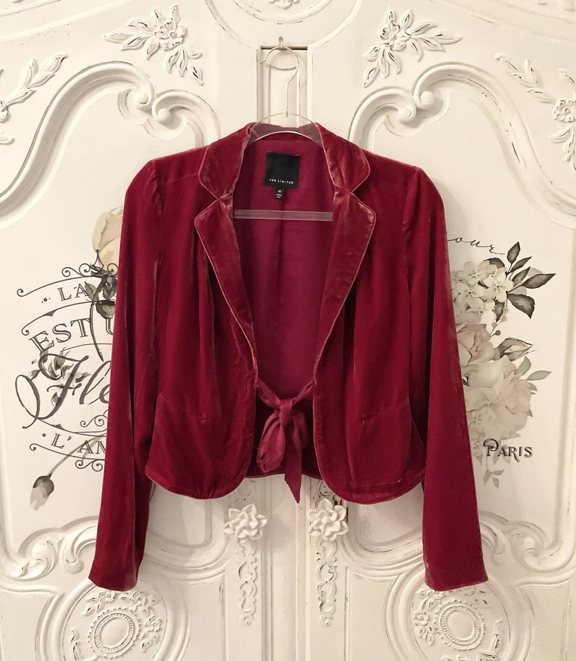 Express 夹克女式 XS 红色天鹅绒裁剪修身前领带长袖 Y2K — 第 3/4 张图片