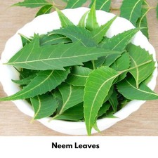 Neem Powder Organic Natural Dried Leaves Ceylon Kohomba Azadirachta Indica Leaf