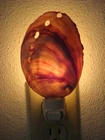 RED ABALONE SEA SHELL NIGHTLIGHT BATHROOM KITCHEN #7119