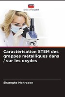 Shareghe Mehraeen | CaractéRisation Stem Des Grappes MéTalliques Dans / Sur...