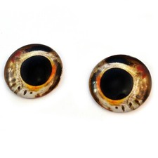 Pair of 20mm Natural Goldfish Glass Eyes Realistic Yellow Taxidermy Doll Supply