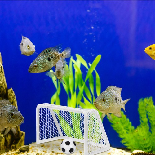 Mini Support De but Football Bébé vente Enfant Décoration Nage Poisson