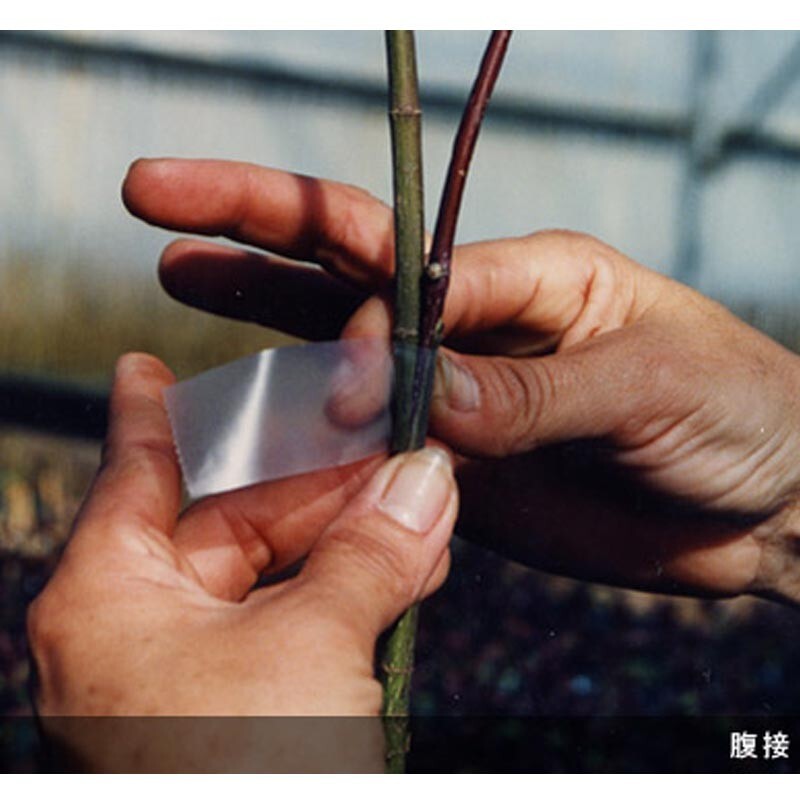 Aglis New Medel Buddy Tape Grafting Tape Agricultural Materials 25mm x