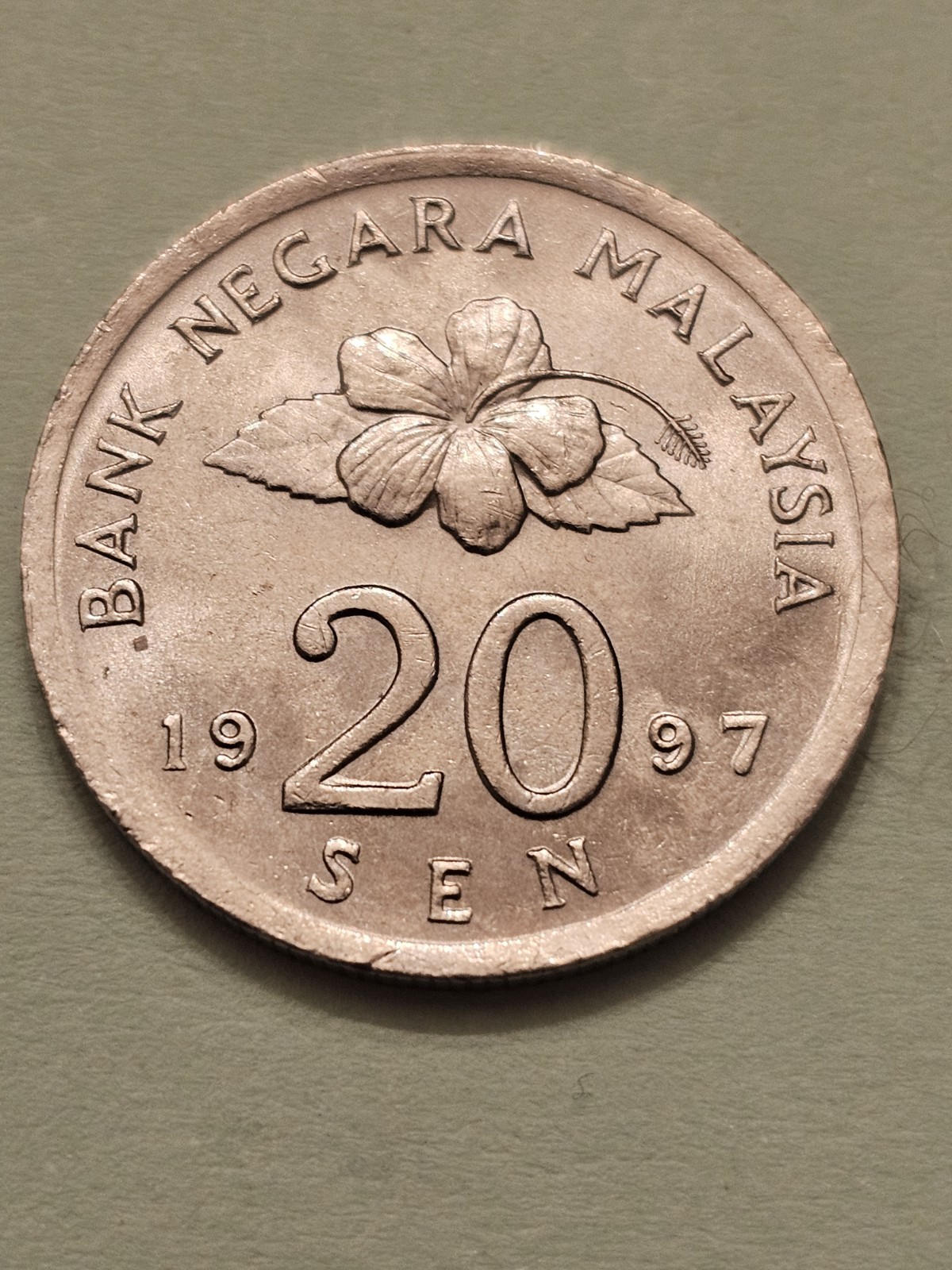Foto 1 di 2