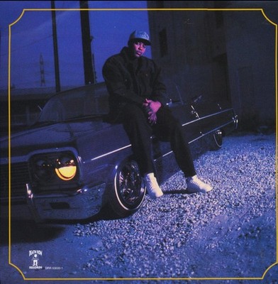 Dr. Dre - The Chronic (2xVINYL) - HIP HOP *SEALED* | eBay