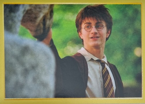 Panini Harry Potter Anthology Sticker - Einzelsticker Auswahl 1-180 & Y1-Y12 - Picture 54 of 193