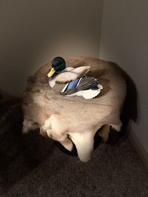 Ducks Unlimited #2 Mallard Drake Full Size Decoy by Jett Brunet NIB