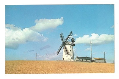 Ballycopeland Windmill, County Down - um 1960 Nordirland Postkarte