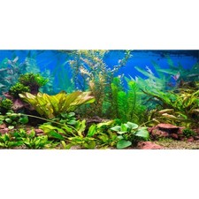 36x20 in Aquatic Plant Aquarium Backdrop Riverbed Fish Tank Background AWER...