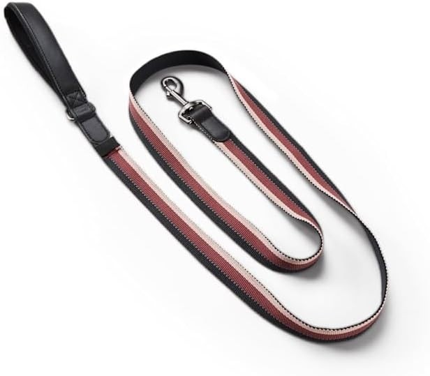 Reddy Stripe Dog Leash, Burgundy, 6-ft long, 1-in wide