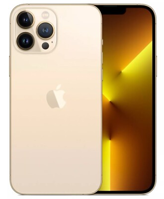 iPhone 13 Pro Max with Tik Tok Installed 
