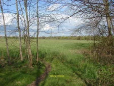 Photo 12x8 Wey Manor Farm Addlestone The fields to the north of the footpa c2012