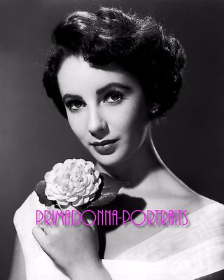ELIZABETH TAYLOR 8X10 Lab Photo 1950s Sexy Elegant Flower
