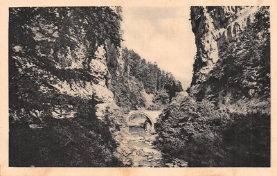 38-EN CHARTREUSE PONT DE LA CLUSE-N�T2909-E/0265