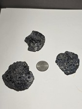 Lot of 3 Fossil Crocodile Dermal Scutes - Osteoderm Armor Plates - Florida...