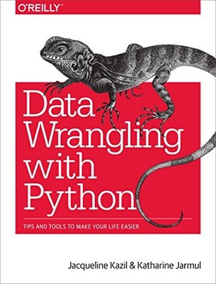 Data Wrangling mit Python: Tipps und Tools, die Ihr Leben einfacher machen, Kazil, Jacq