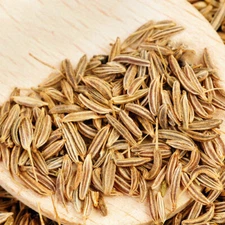 Cumin Herb Seeds For Planting | Heirloom / Non-GMO | Free Shipping | 1147