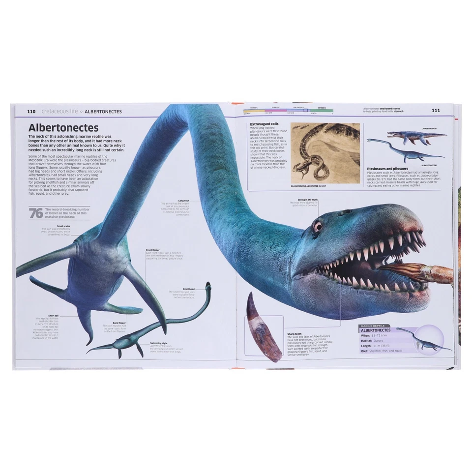 Knowledge Encyclopedias Collection By DK: 5 Books Set - Ages 9-12 - Hardback - Image 3 of 4