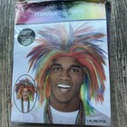 Crazy Rainbow Wig