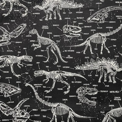 Dino by Timeless Treasures B/W Fossils #CG 5797 Cotton Dinosaurs ~ BTY