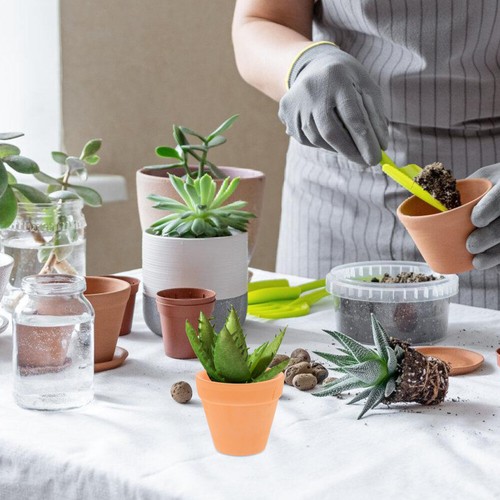 12 Pcs Sukkulententopf Tontopf Pflanzgefäße Für Baumschulen Töpfe officiel Pflanzen