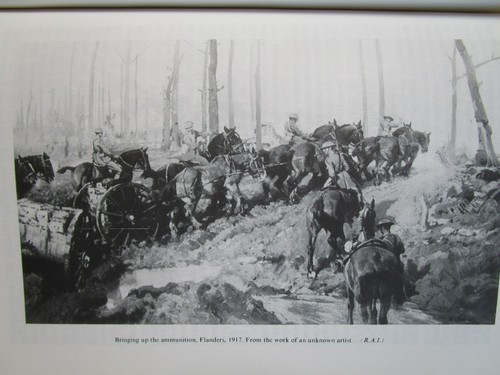 History of Royal Regiment of Artillery, Forgotten Fronts & Home Base1914-18 - Picture 15 of 21