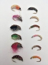 Fly Fishing CZECH NYMPHS Copper Wire weighted 12 Pack sized 10-12 #136