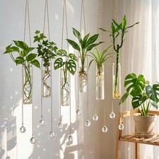 6 Pcs Hanging Propagation Stations with Crystal Suncatcher Glass Hanging Wall...