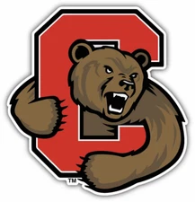 Car Magnet - Cornell Big Red - NCAA College Football - MAGNET