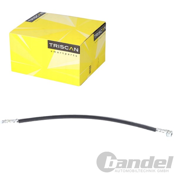 Triscan Bremsschlauch Hinterachse Passend FüR Chrysler Voyager | 8150 80301-image