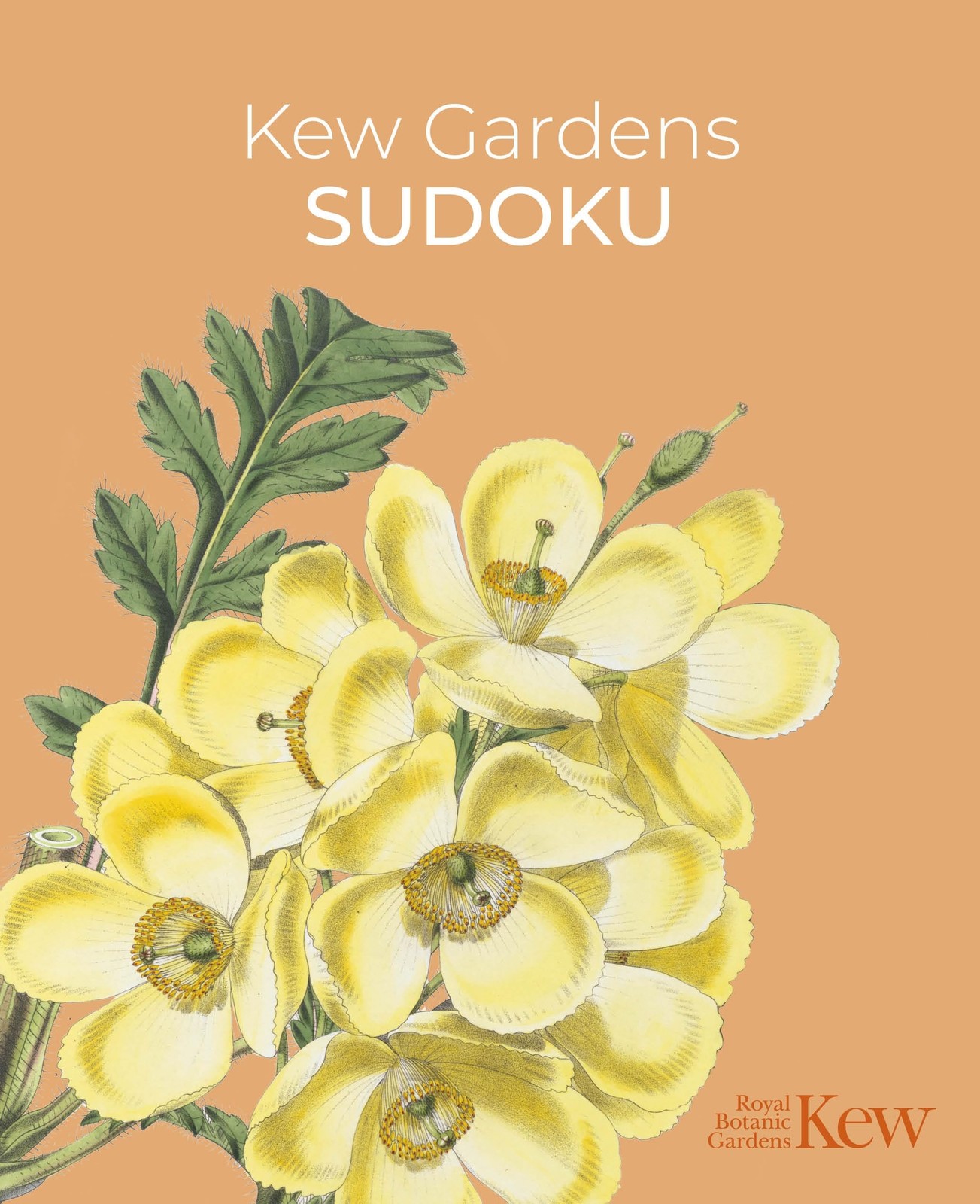 Kew Gardens Sudoku by Eric Saunders NEW Free UK Delivery - Image 7
