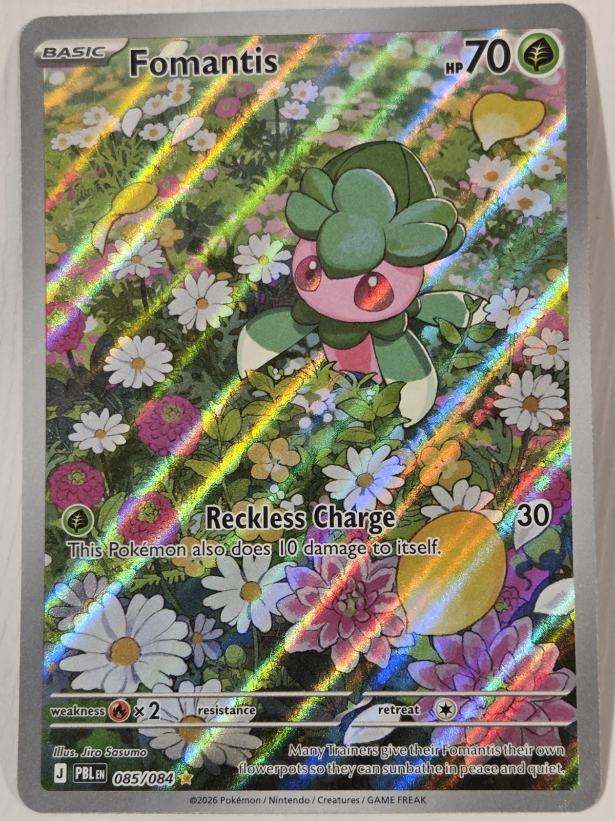 Fomantis 085/084 Illustration Rare Pitch Black Pokemon Holo Near Mint