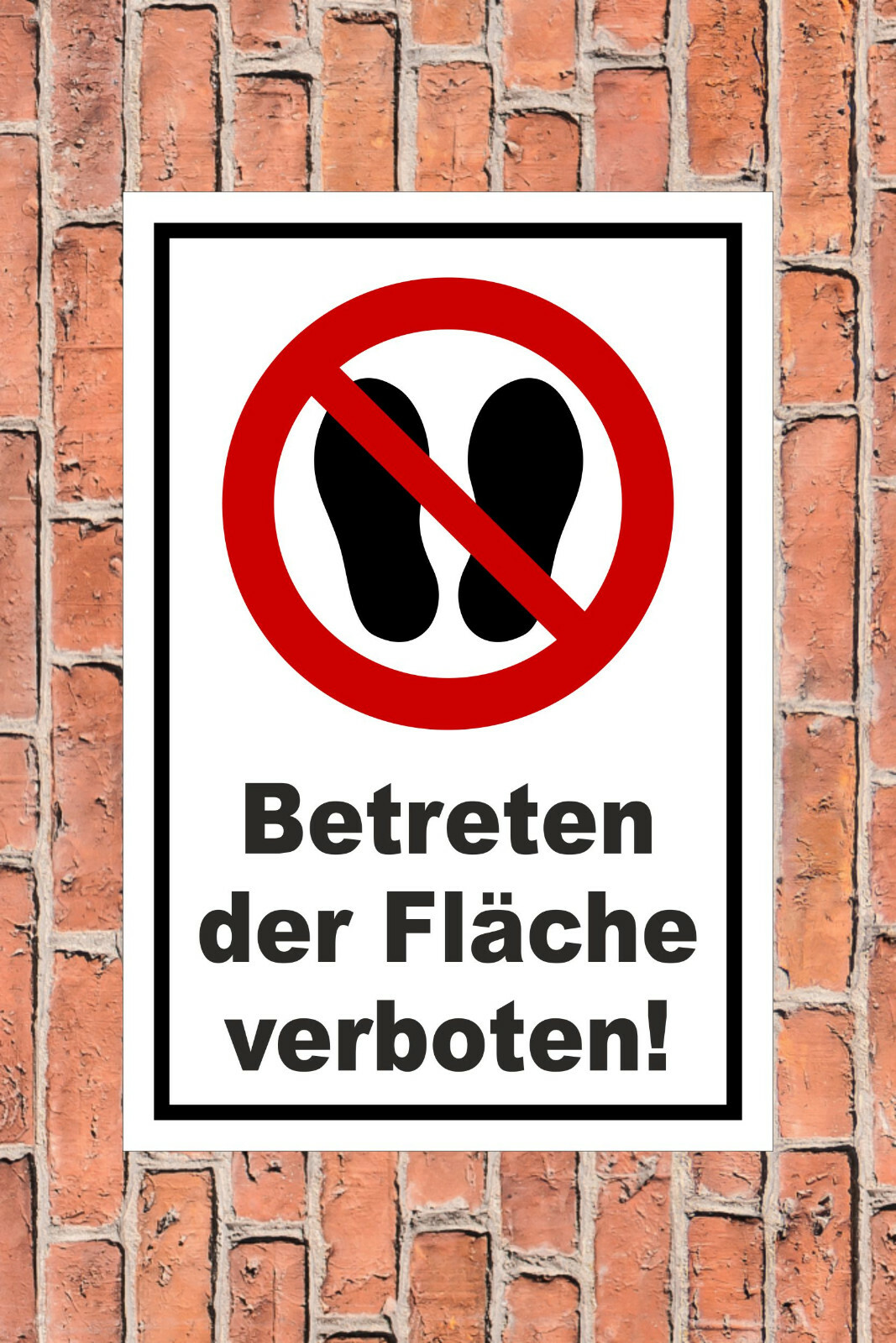Bild 2 von 5