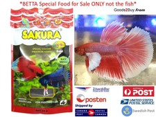 sakura betta food
