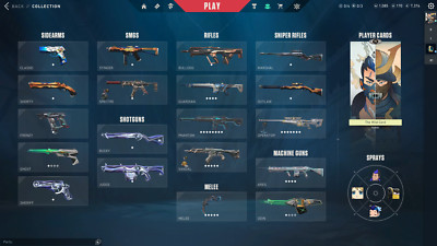 FULL ACCESS Valorant Account EU OG acc (alle agents) und viele skins 