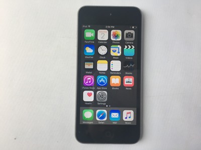Apple iPod touch 5th Generation Space Gray (32GB) mint