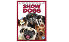 Image of Show Dogs (DVD, 2018) New & Sealed