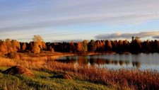 Landscape forest lake fall Custom Gaming Mat Desk