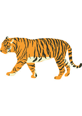 Riesiger XXXL Autoaufkleber Sticker Tiger Aufkleber