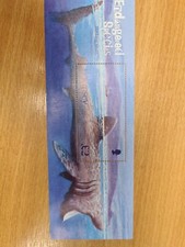 2005 Guernsey  Stamps MS U/M  Basking Shark JT56