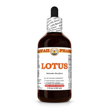 Lotus Nelumbo Nucifera Dried Seed Liquid Herbal Extract