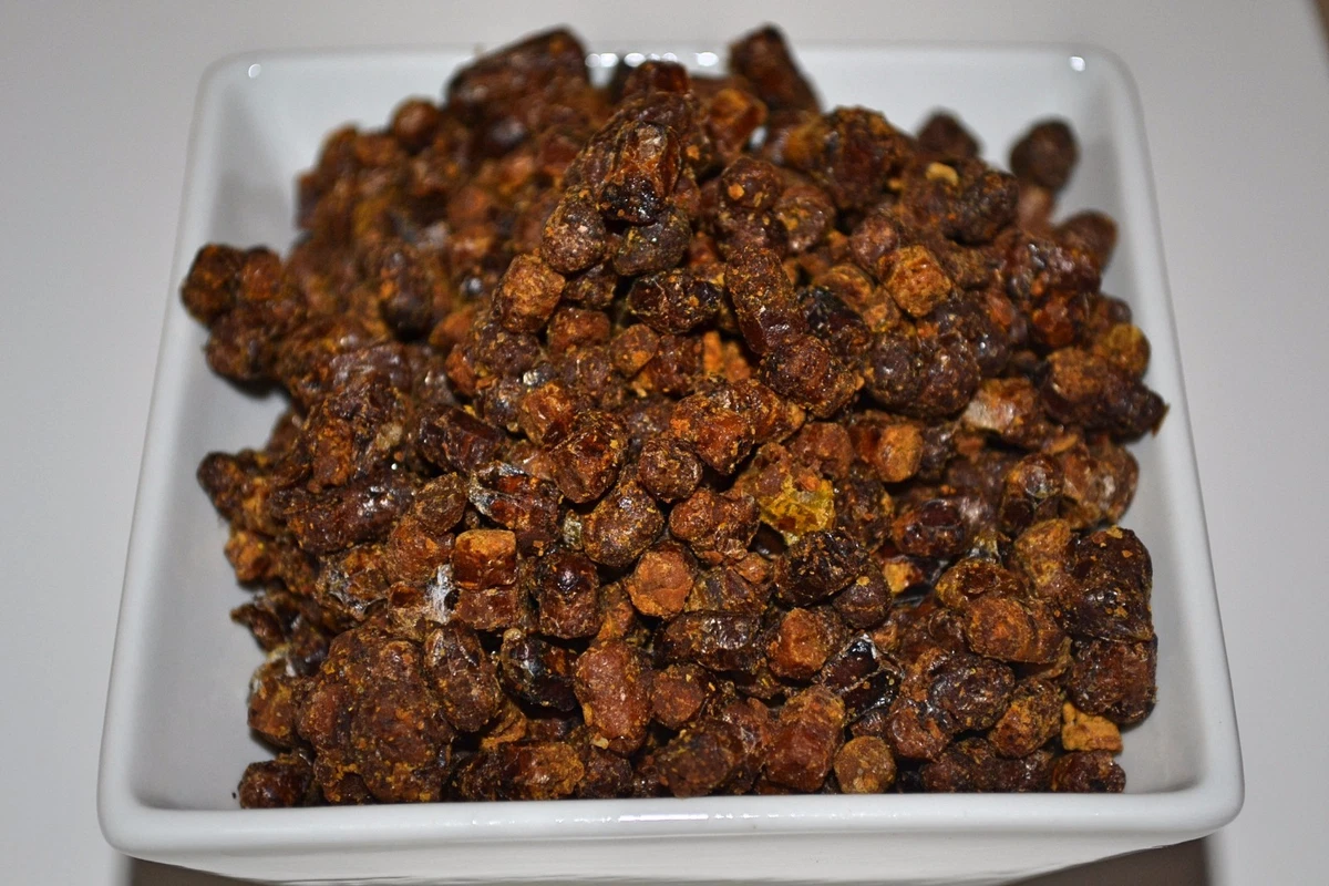 Bee bread 2024