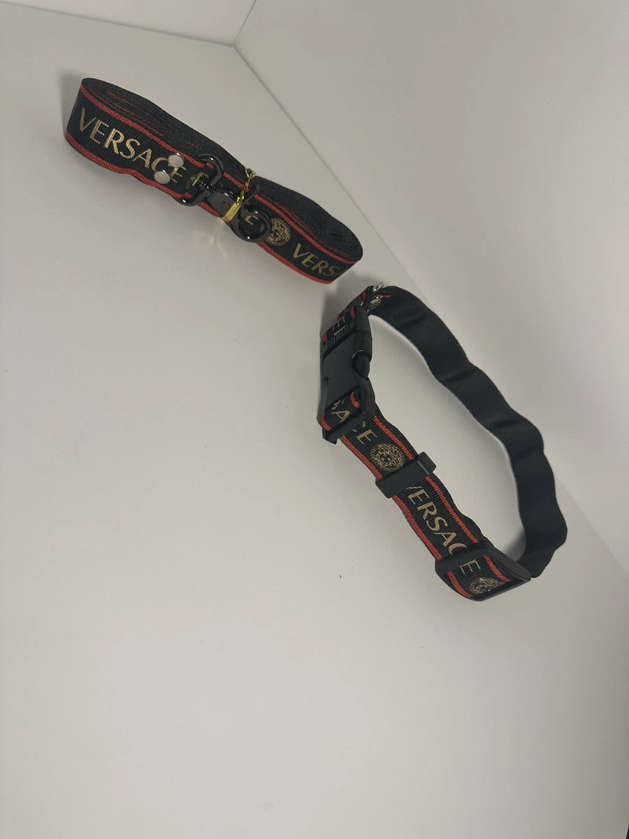 Versace Dog Collar 