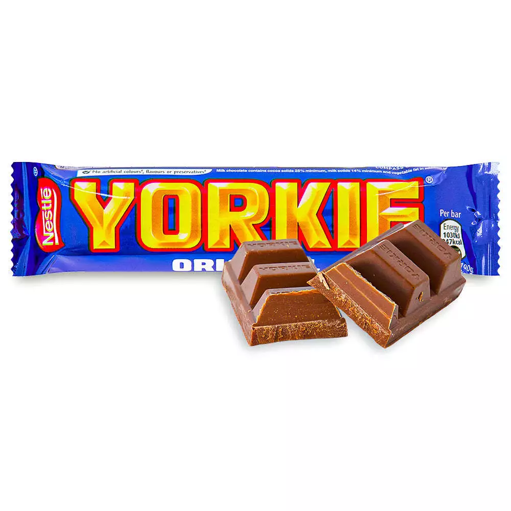 Chocolate yorkie discount
