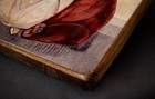Bild 7 von 8