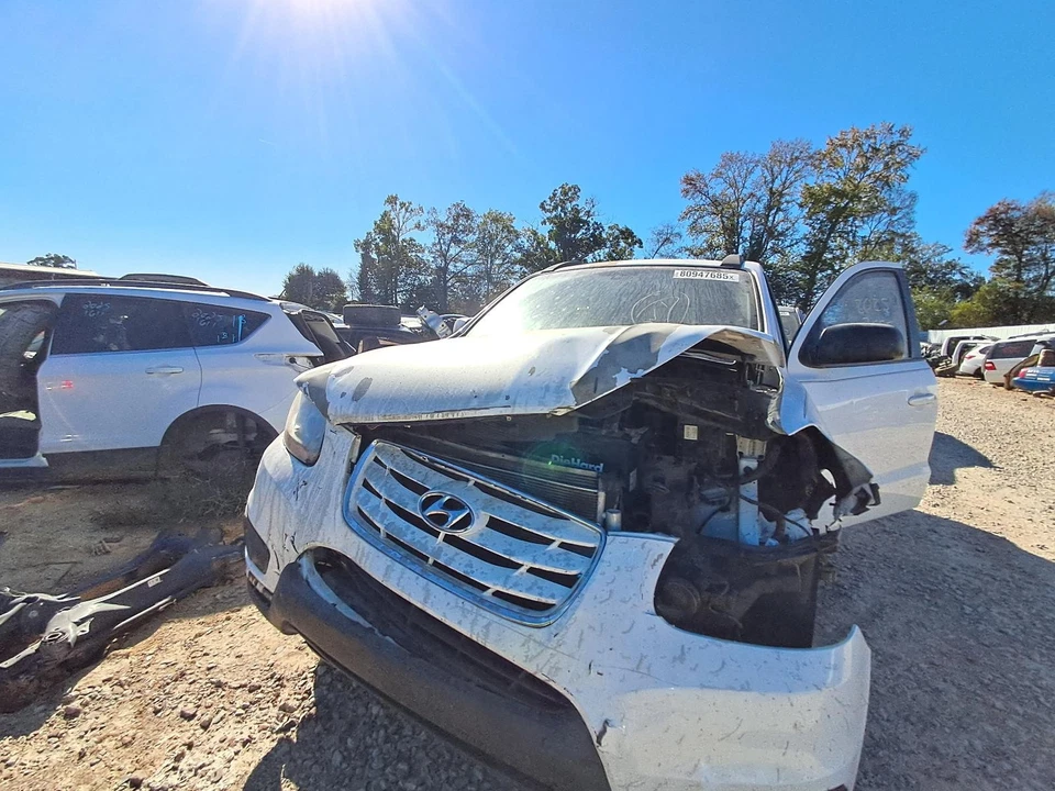 Used Rear Right Door Assembly Rear Side fits: 2010 Hyundai Santa fe electric Rea Foto 2 de 4