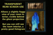 TRANSPARENT REAR SCREEN, SMALL WNDOW SIZED, SEAMABLE FOR HOLIDAY PROJECTION