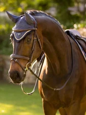 LeMieux Loire Fly Hood - Dusk