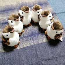 ty Ptarmigan Chick Plush Summer Plumage 6 Siblings
